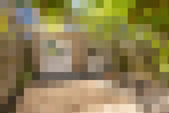 Herautsingel 12 Utrecht thumbnail 19