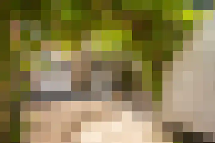 Herautsingel 12 Utrecht thumbnail 20