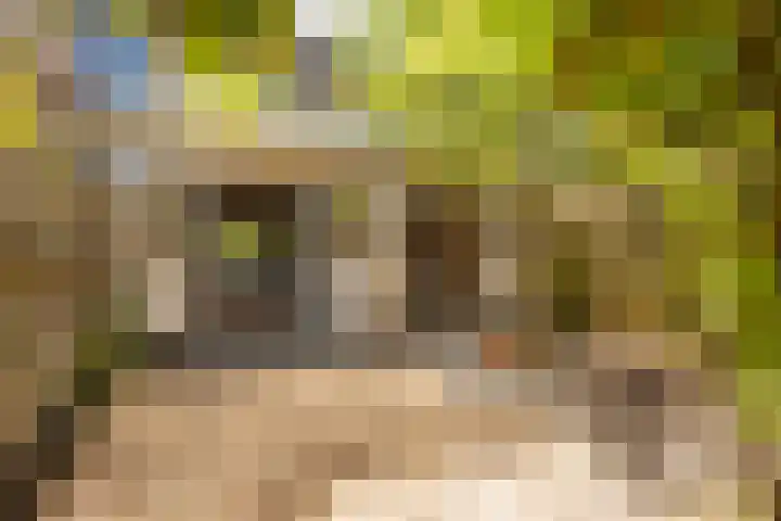 Herautsingel 12 Utrecht thumbnail 23