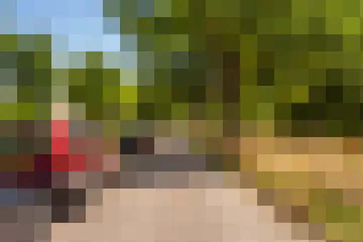 Herautsingel 12 Utrecht thumbnail 30