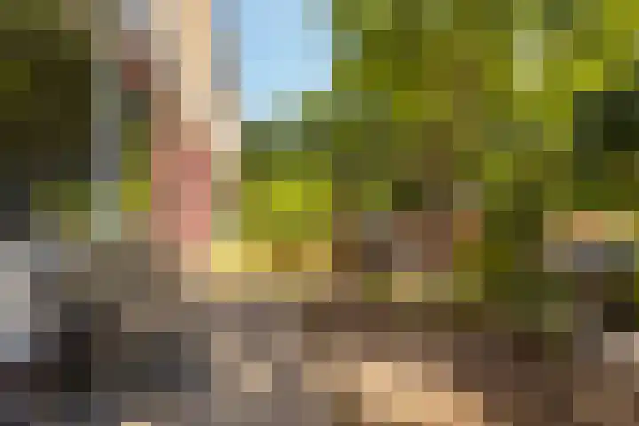 Herautsingel 12 Utrecht thumbnail 33