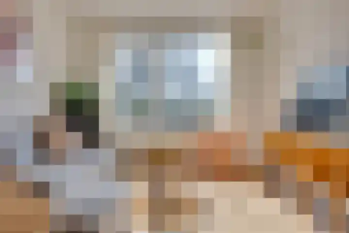 Herautsingel 15 Utrecht thumbnail 12