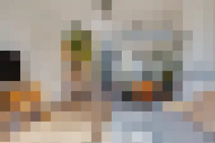 Herautsingel 15 Utrecht thumbnail 14