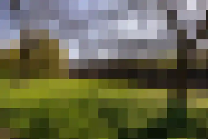 Herautsingel 15 Utrecht thumbnail 23