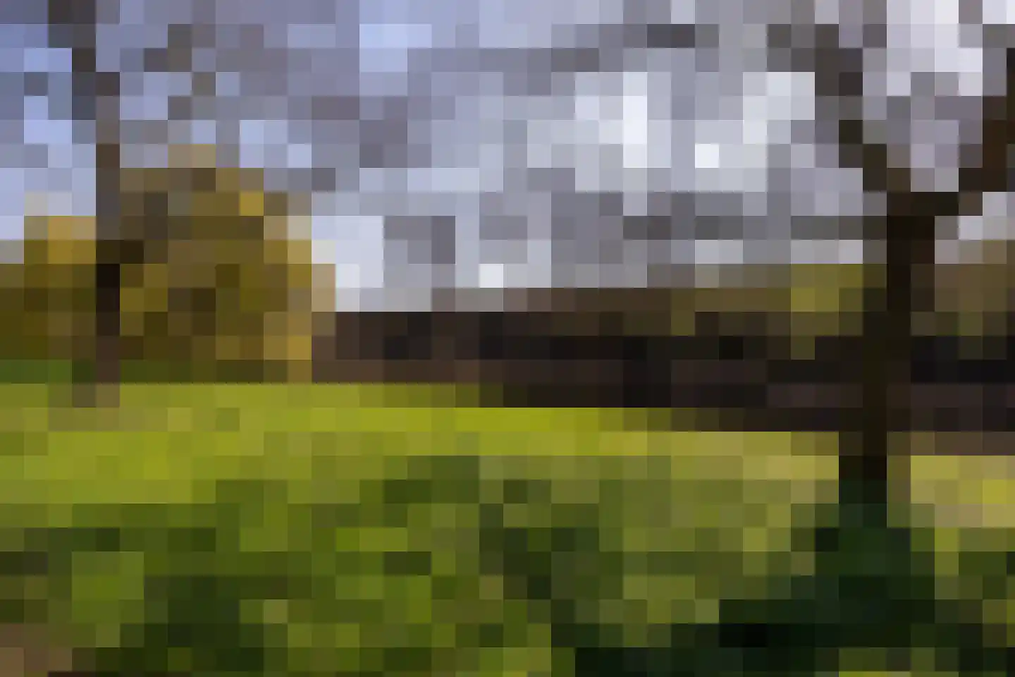 Herautsingel 15 Utrecht thumbnail 23