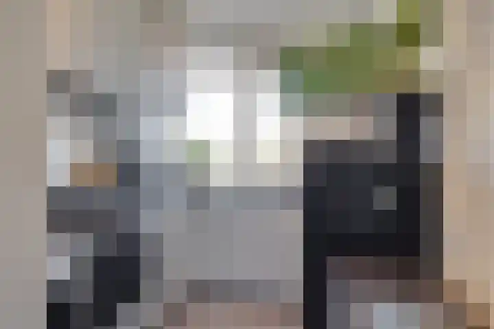 Herautsingel 15 Utrecht thumbnail 8
