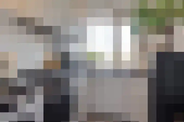 Herautsingel 15 Utrecht thumbnail 9
