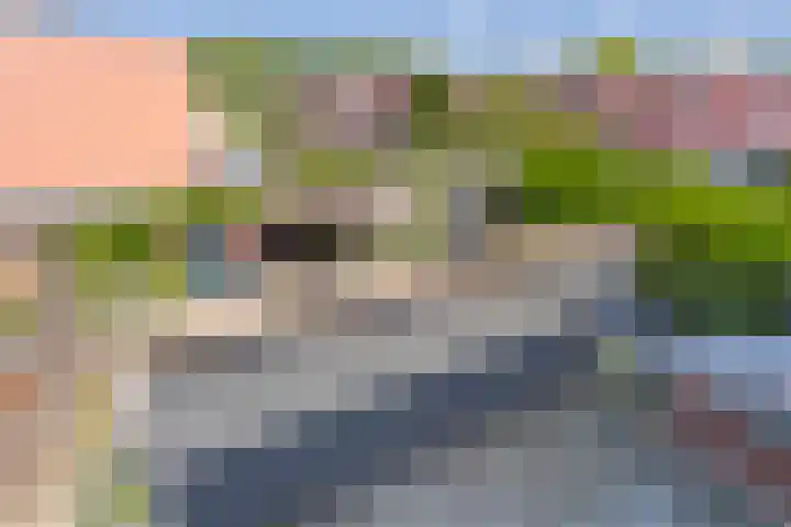 Herautsingel 19 Utrecht thumbnail 11