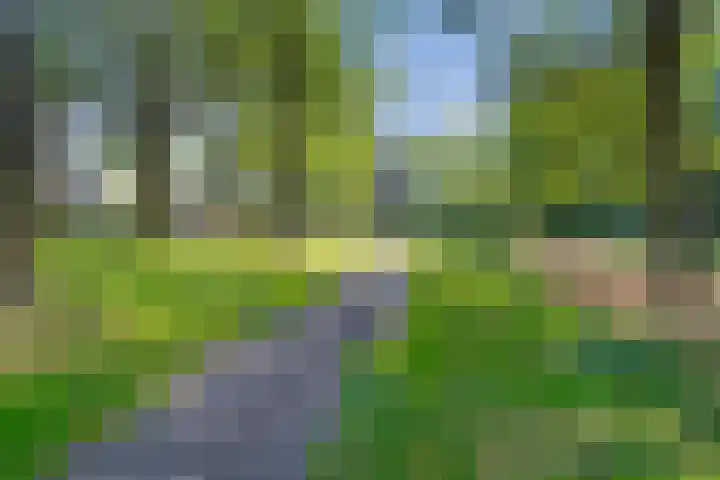 Herautsingel 19 Utrecht thumbnail 23