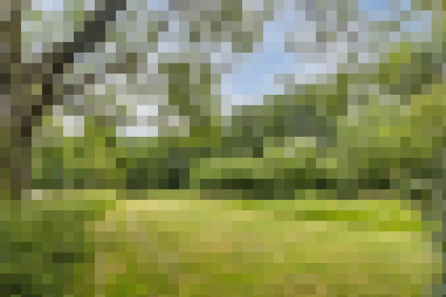 Herautsingel 28 Utrecht thumbnail 43