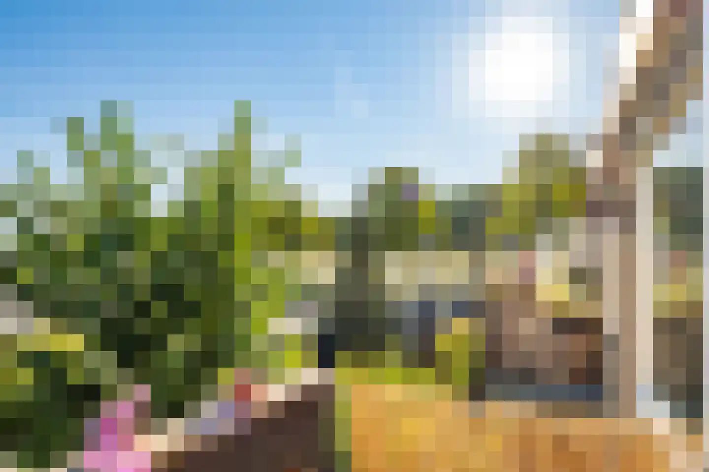 Herautsingel 43 Utrecht thumbnail 36