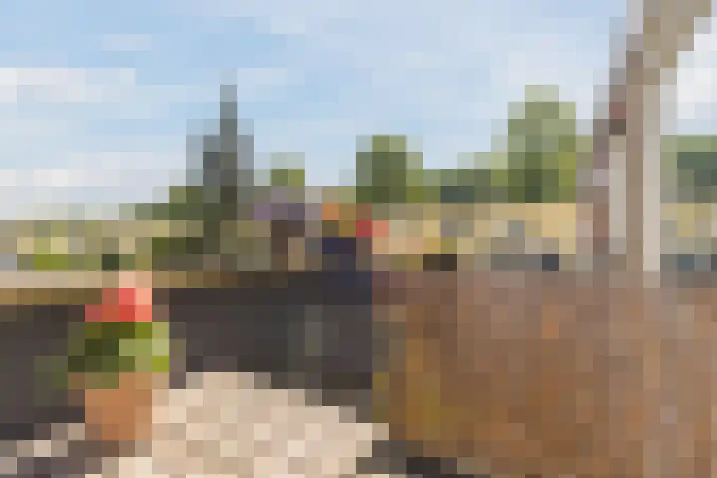 Herautsingel 45 Utrecht thumbnail 21