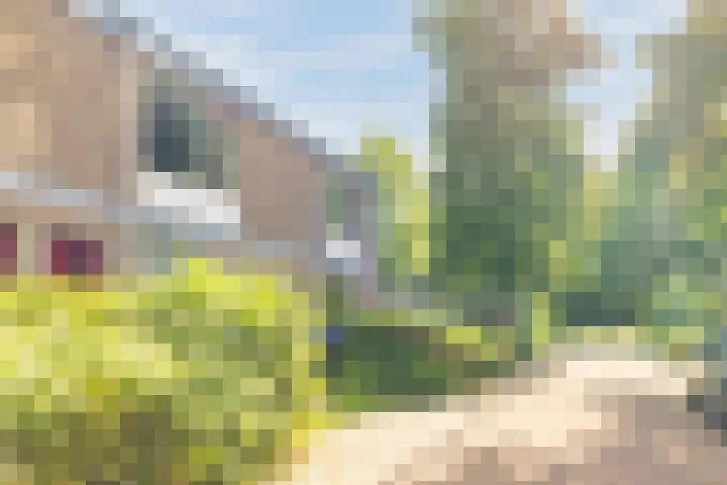 Herautsingel 45 Utrecht thumbnail 39