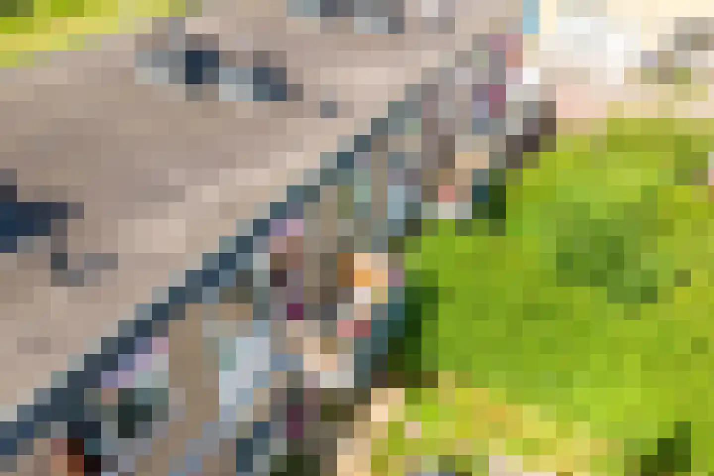 Herautsingel 45 Utrecht thumbnail 44