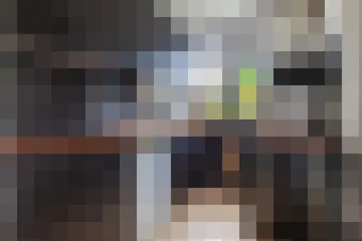 Herautsingel 48 Utrecht thumbnail 17