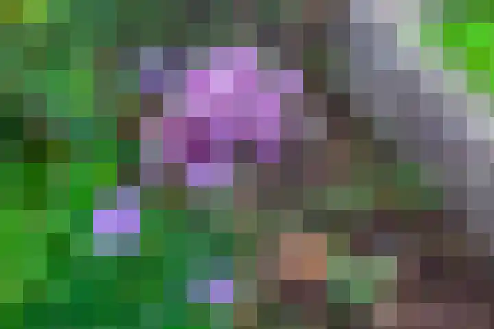 Herautsingel 48 Utrecht thumbnail 22