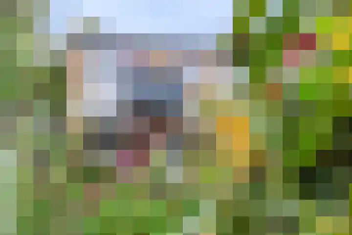Herautsingel 48 Utrecht thumbnail 24