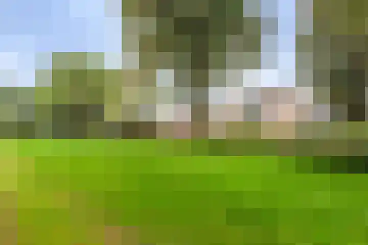 Herautsingel 48 Utrecht thumbnail 4