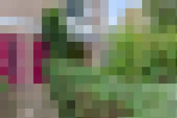Herautsingel 48 Utrecht thumbnail 5