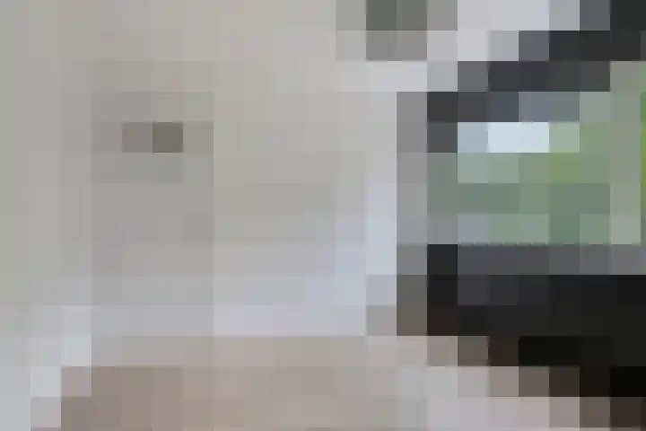 Herautsingel 51 Utrecht thumbnail 14