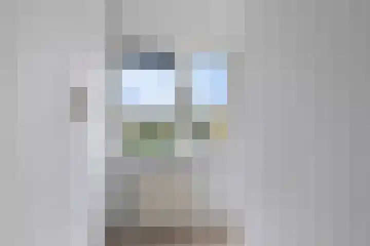 Herautsingel 51 Utrecht thumbnail 17