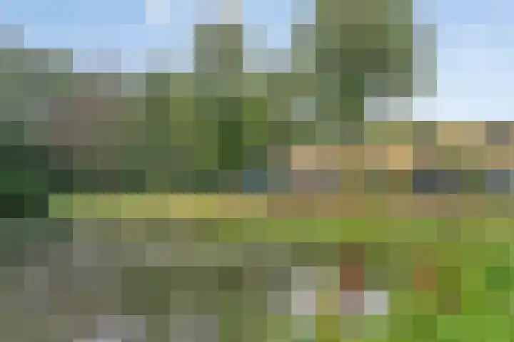 Herautsingel 51 Utrecht thumbnail 25
