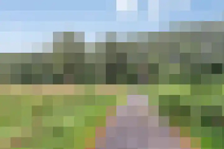 Herautsingel 51 Utrecht thumbnail 30