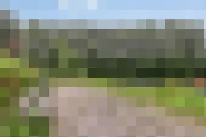 Herautsingel 51 Utrecht thumbnail 31
