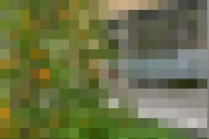 Herautsingel 51 Utrecht thumbnail 32