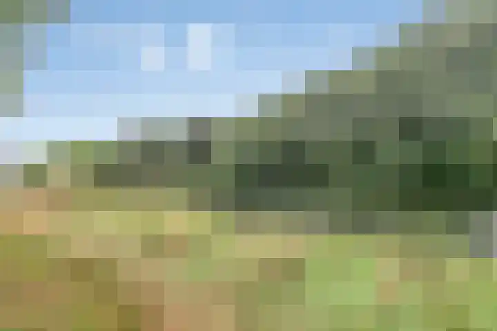 Herautsingel 51 Utrecht thumbnail 5
