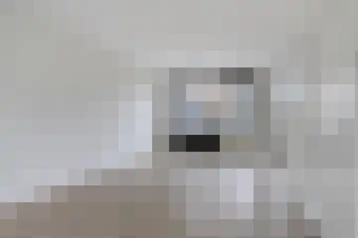 Herautsingel 51 Utrecht thumbnail 7