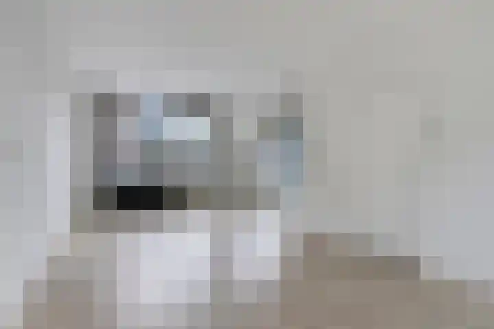 Herautsingel 51 Utrecht thumbnail 8
