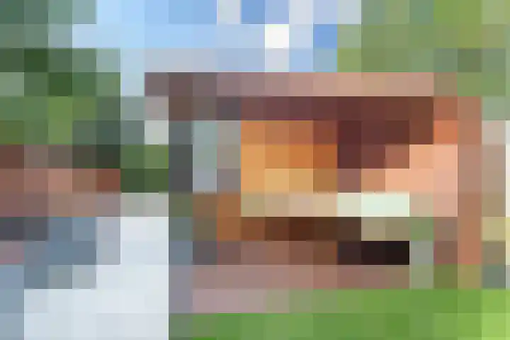 Herautsingel 54 Utrecht thumbnail 16