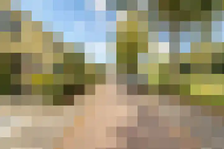 Herautsingel 54 Utrecht thumbnail 35