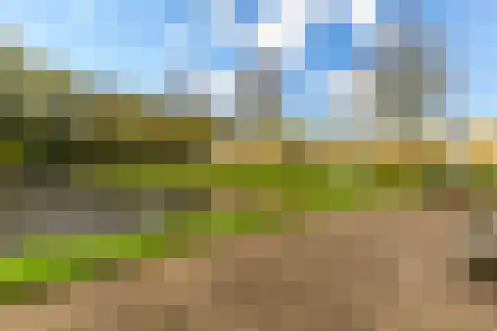Herautsingel 54 Utrecht thumbnail 36