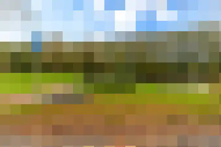 Herautsingel 54 Utrecht thumbnail 38