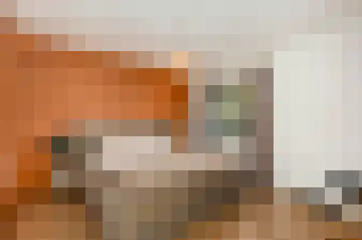 Herautsingel 54 Utrecht thumbnail 5