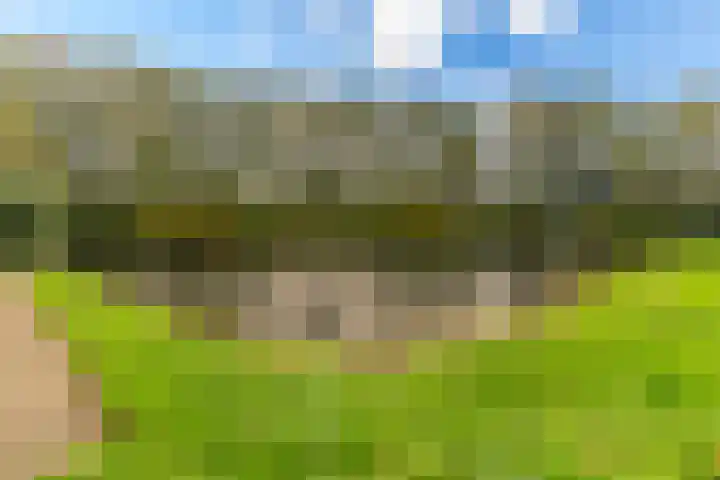 Herautsingel 54 Utrecht thumbnail 6