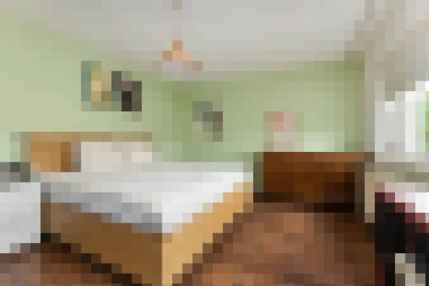 Herautstraat 12 Zwolle thumbnail 12