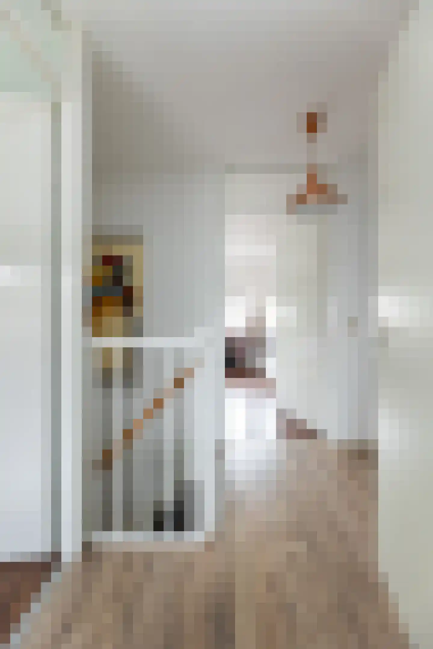 Herautstraat 12 Zwolle thumbnail 16