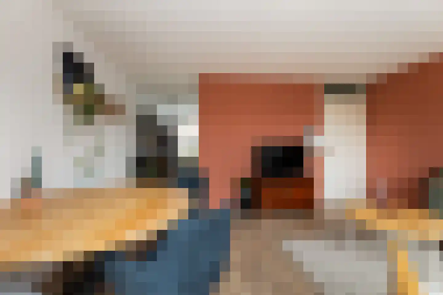 Herautstraat 12 Zwolle thumbnail 5