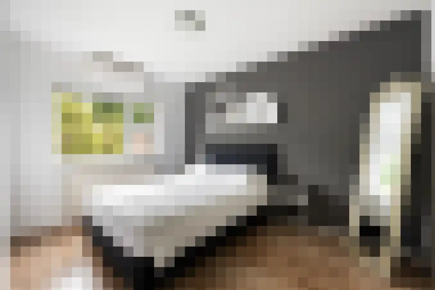 Herautstraat 3 Zwolle thumbnail 20