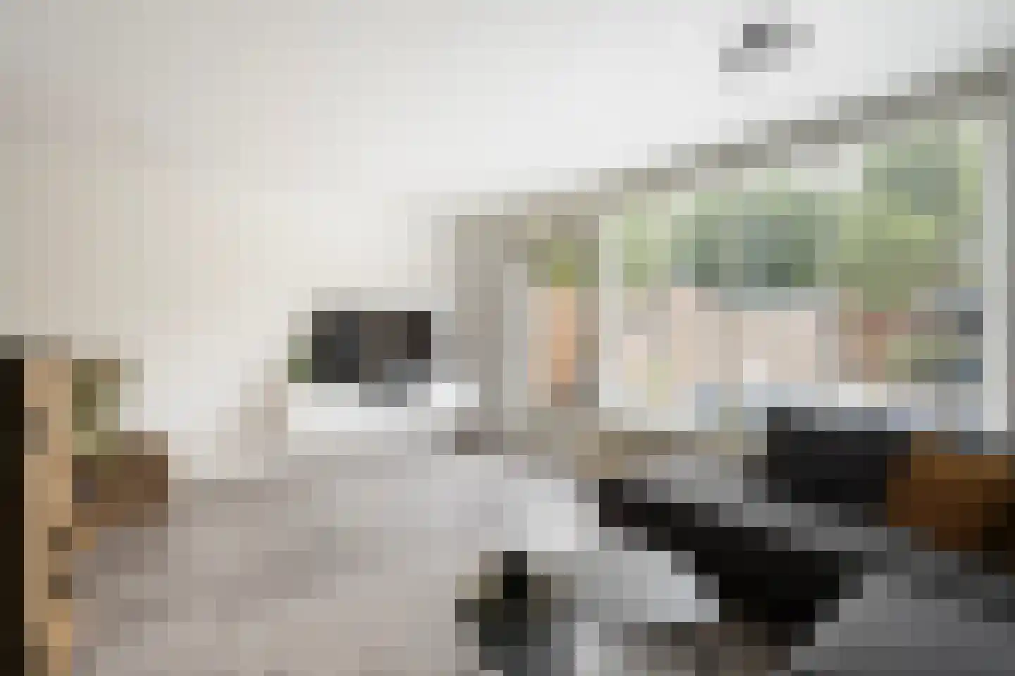 Herautstraat 3 Zwolle thumbnail 4