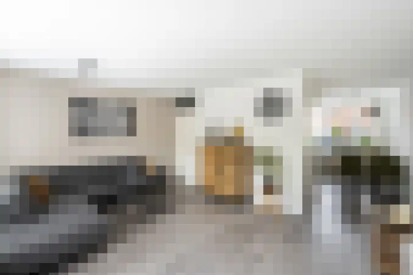 Herautstraat 3 Zwolle thumbnail 7