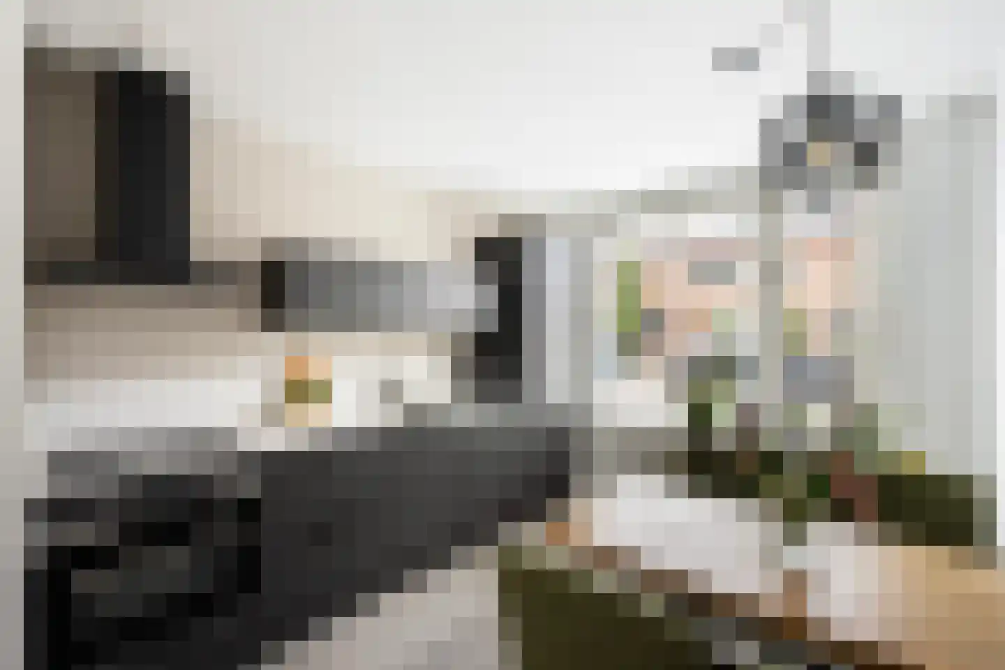 Herautstraat 3 Zwolle thumbnail 8