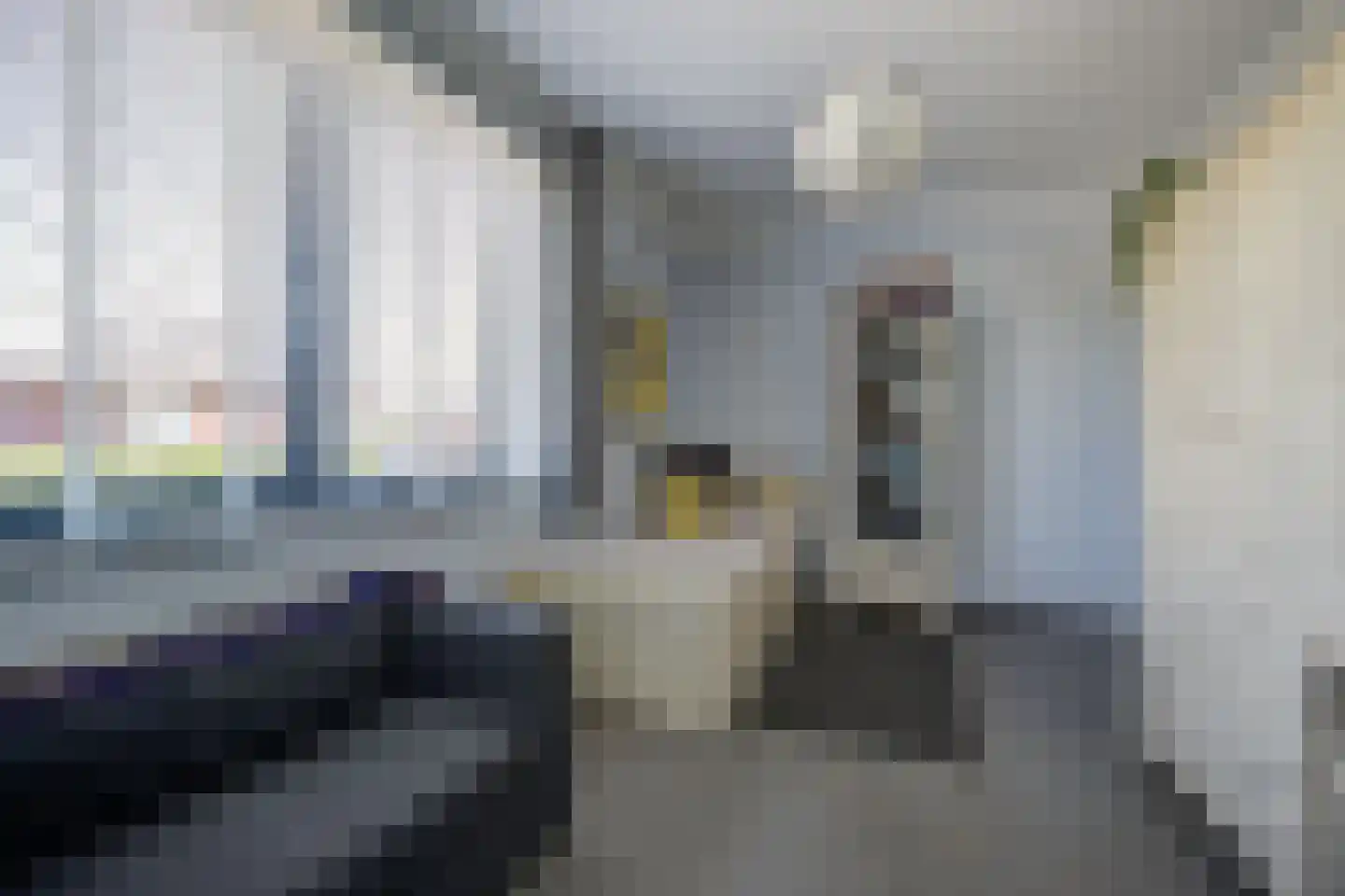 Herautstraat 6 Etten-Leur thumbnail 34