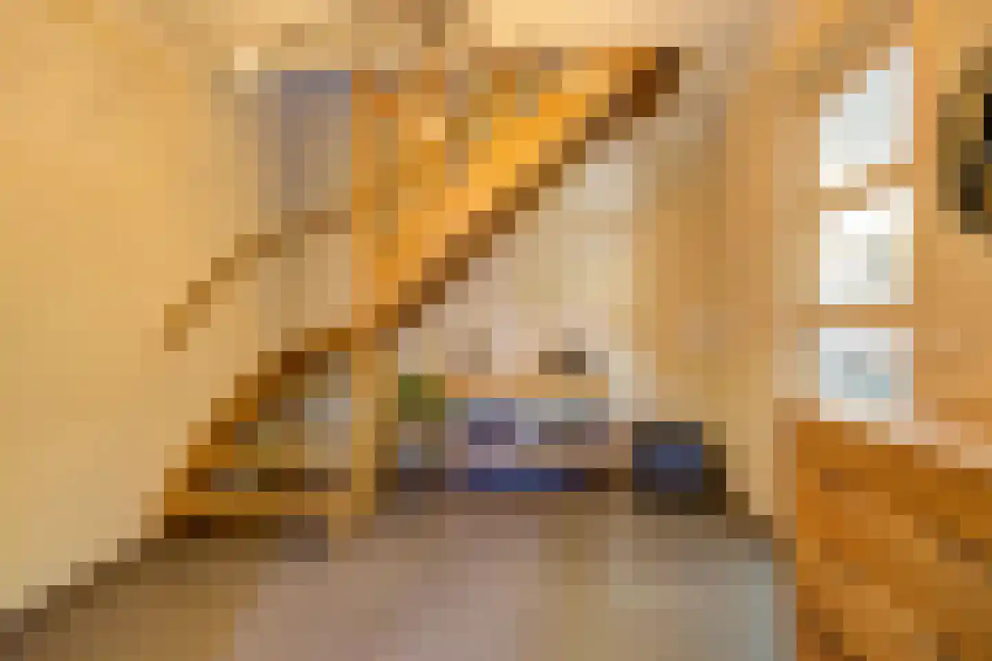 Herautstraat 6 Etten-Leur thumbnail 7