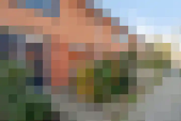 Herautstraat 60 Zwolle thumbnail 4