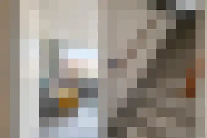 Herautstraat 60 Zwolle thumbnail 6