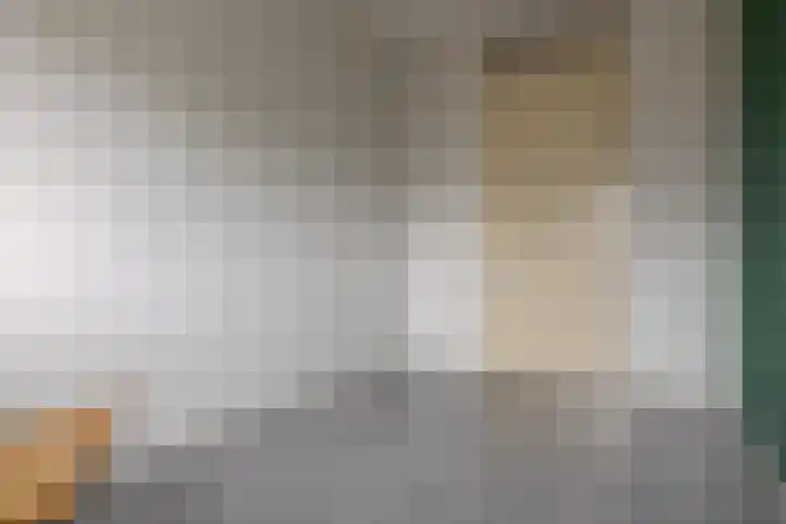 Herautstraat 61 Zwolle thumbnail 35